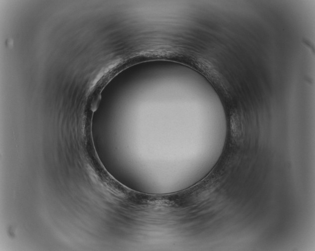 X0000099420396200805231634