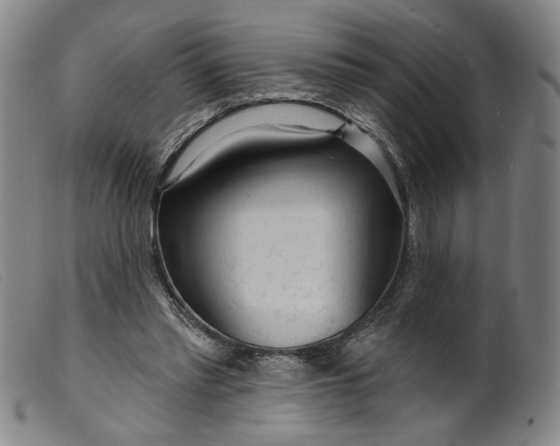 X0000099420397200805231634