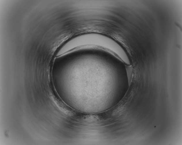 X0000099420398200805231634