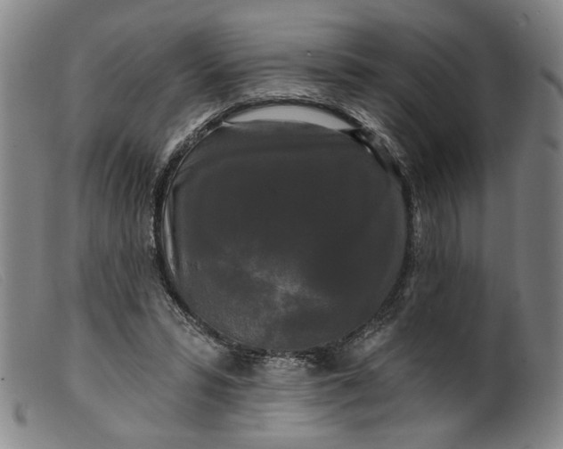 X0000099420399200805231634