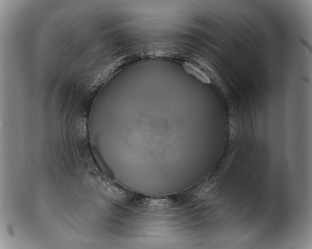 X0000099420401200805231634