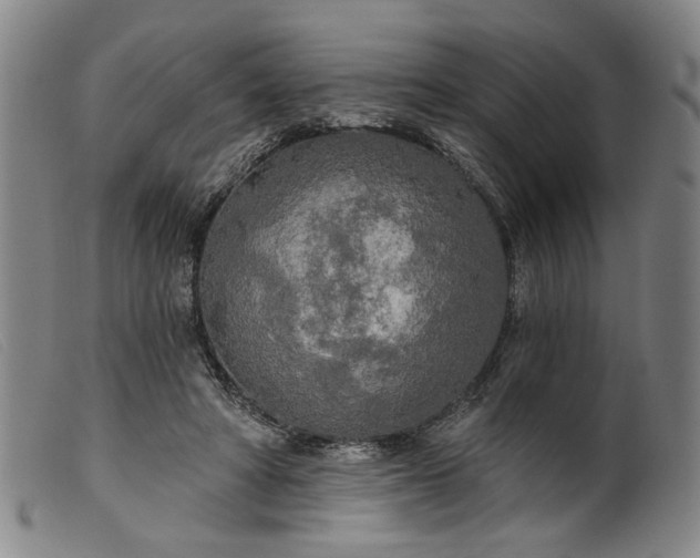 X0000099420402200805231634