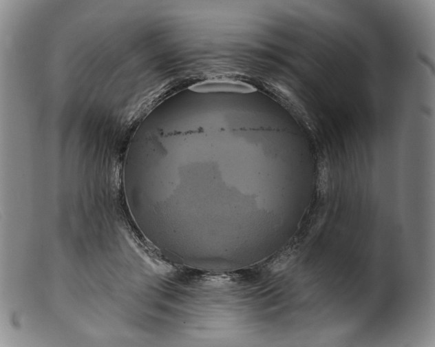 X0000099420405200805231634