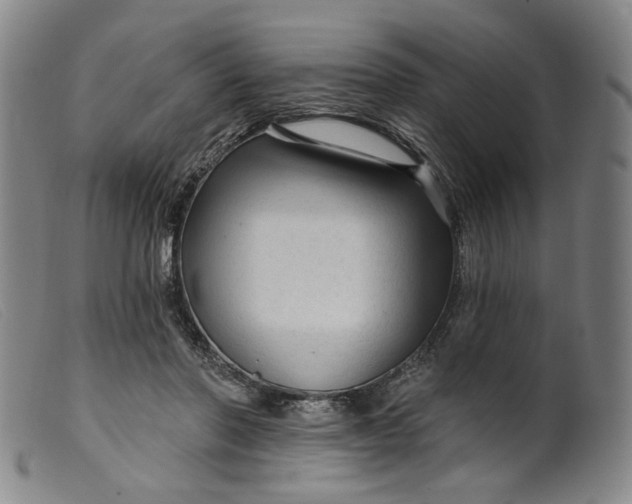 X0000099420406200805231634