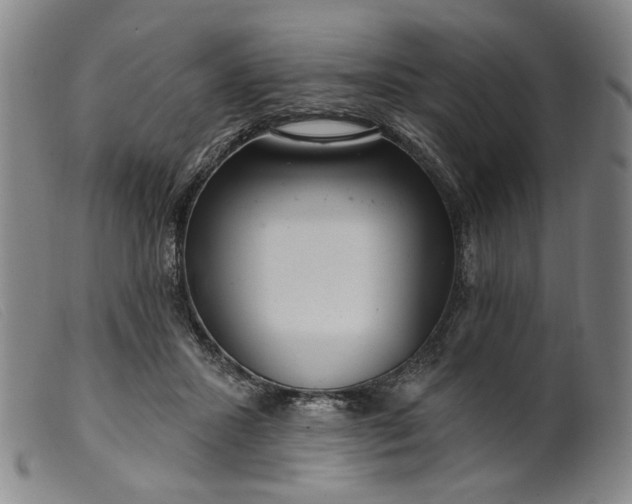 X0000099420407200805231634