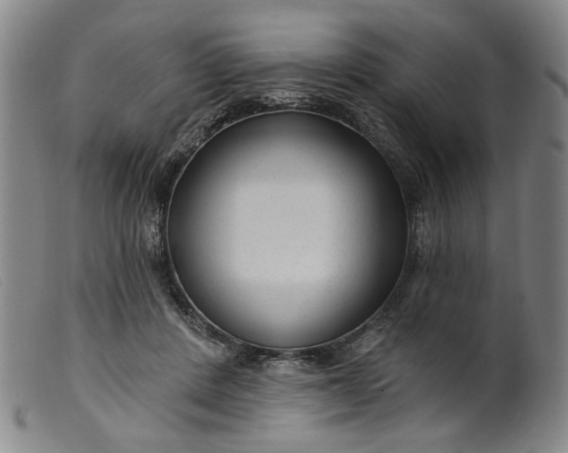 X0000099420408200805231634
