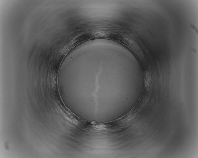 X0000099420409200805231634