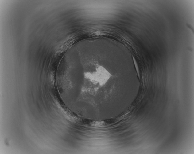 X0000099420410200805231634