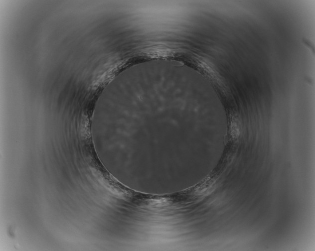 X0000099420411200805231634