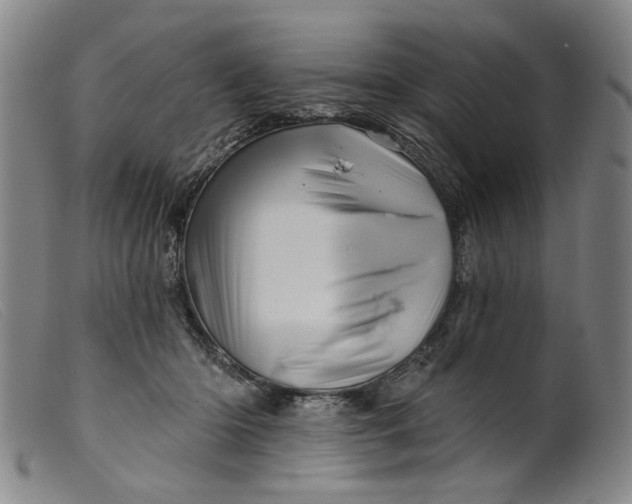 X0000099420414200805231634