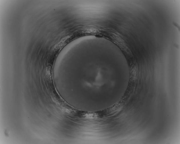 X0000099420415200805231634