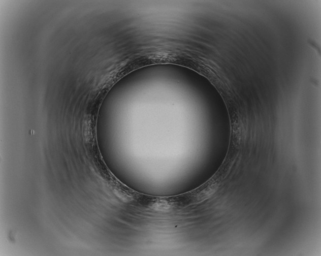 X0000099420416200805231634