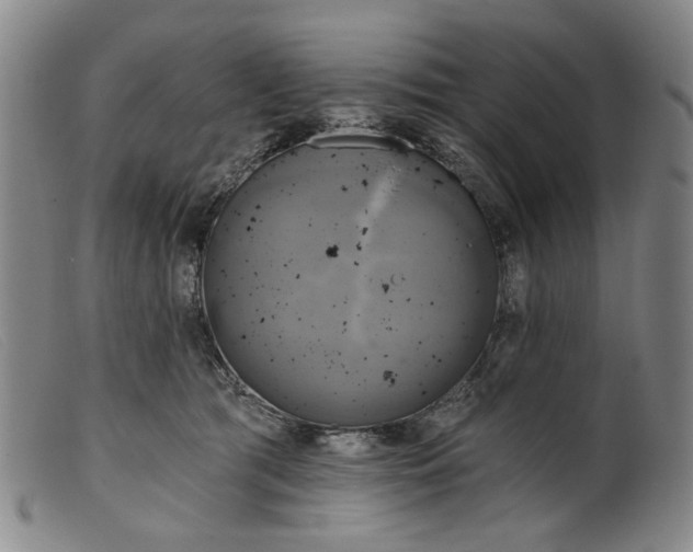 X0000099420417200805231634