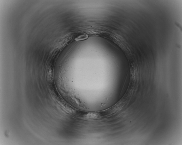 X0000099420418200805231633