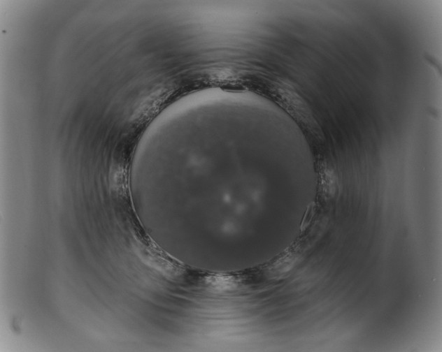 X0000099420419200805231633
