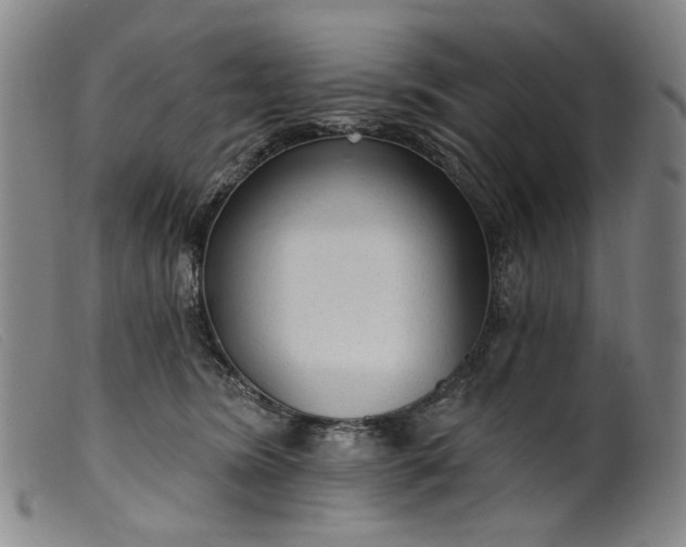 X0000099420420200805231633