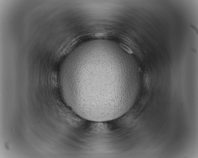 X0000099420421200805231633
