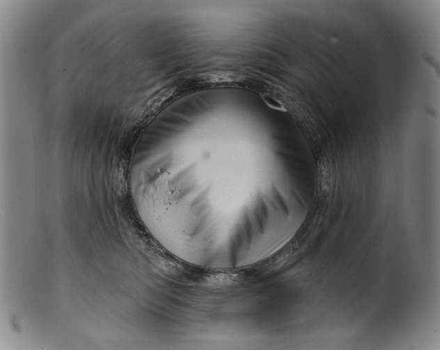 X0000099420422200805231633