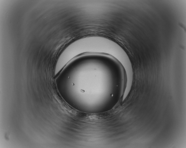 X0000099420423200805231633