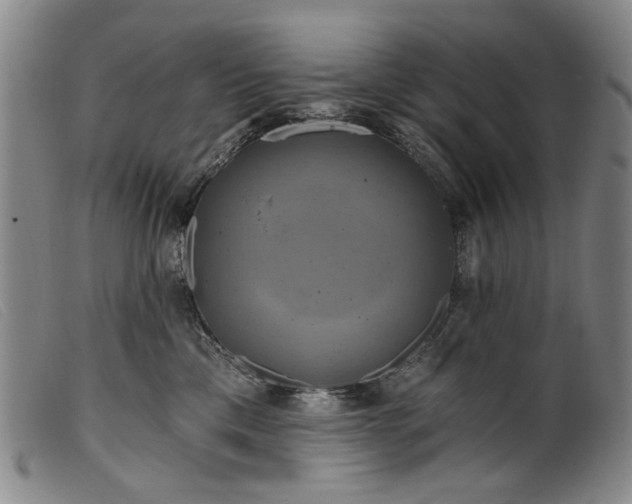 X0000099420425200805231633