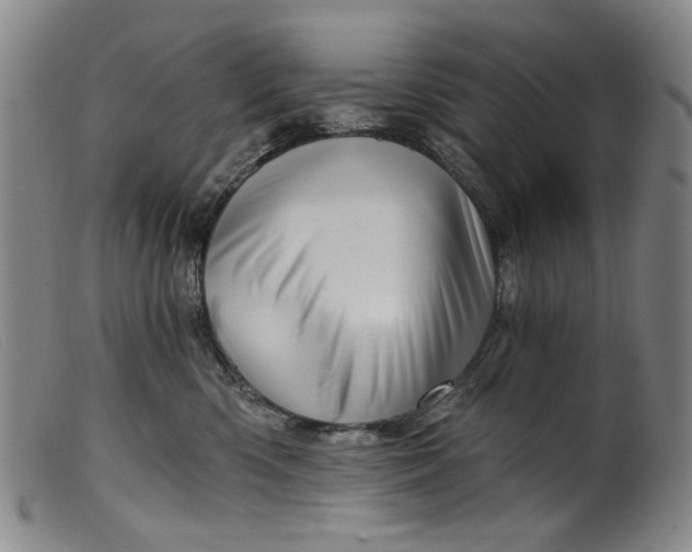 X0000099420426200805231633
