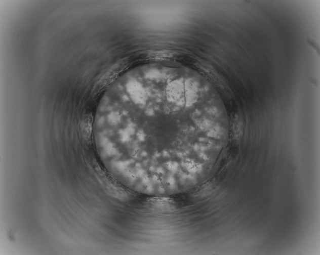X0000099420427200805231633