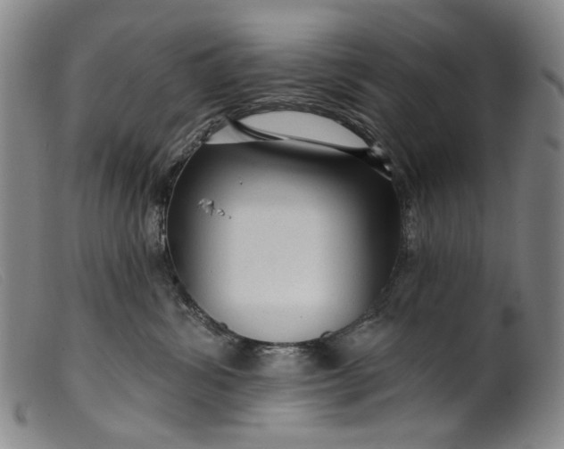 X0000099420428200805231633