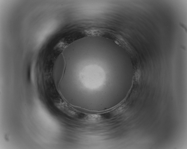 X0000099420429200805231633