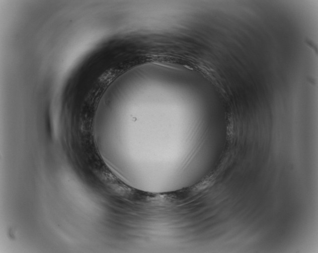 X0000099420430200805231633
