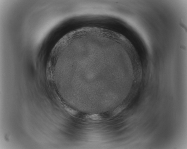 X0000099420431200805231633