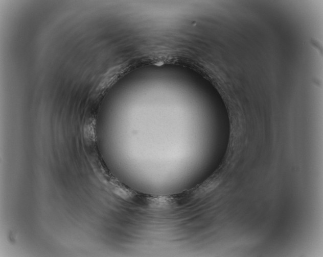 X0000099420432200805231633