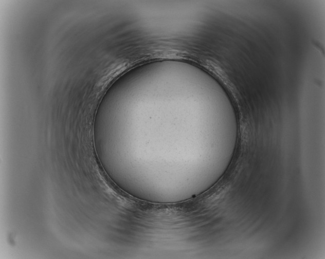 X0000099420433200805231632