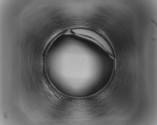 X0000099420435200805231632
