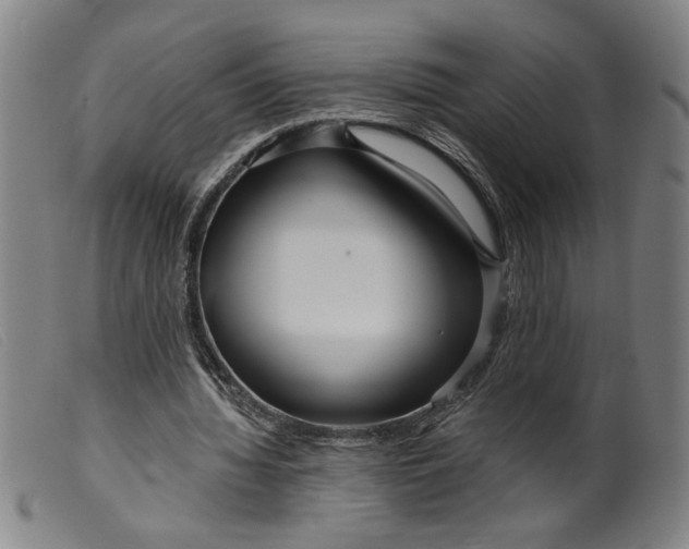 X0000099420436200805231632