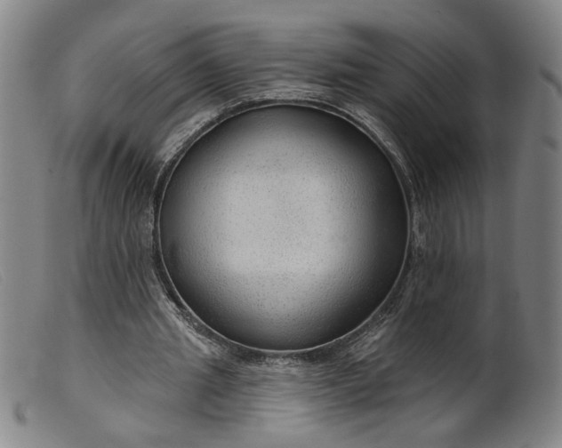 X0000099420437200805231632