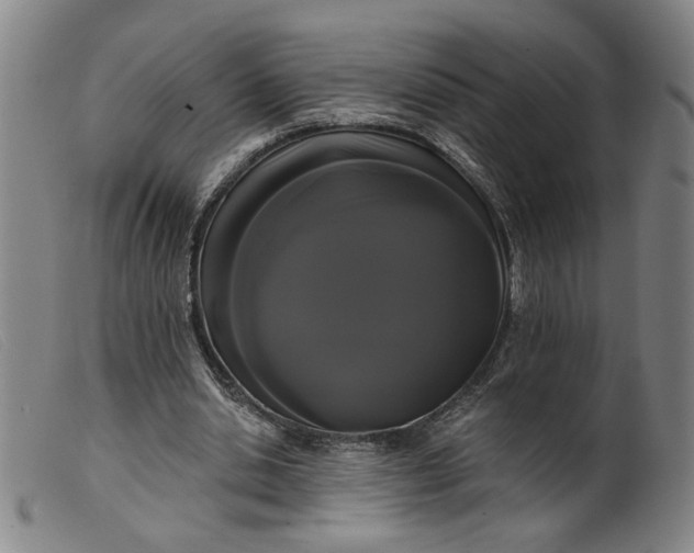 X0000099420438200805231632