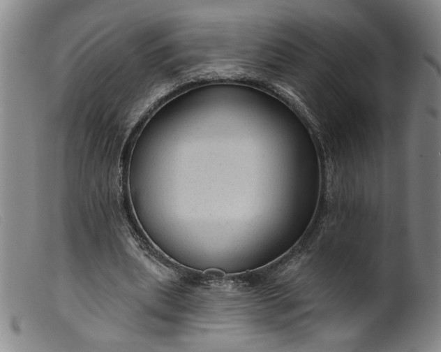 X0000099420439200805231632
