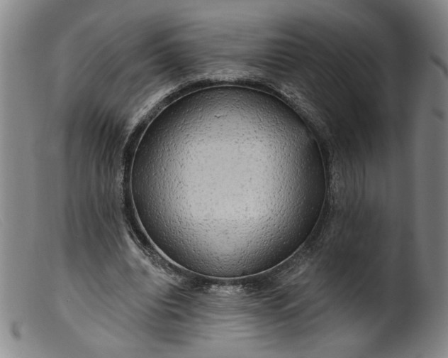 X0000099420440200805231632