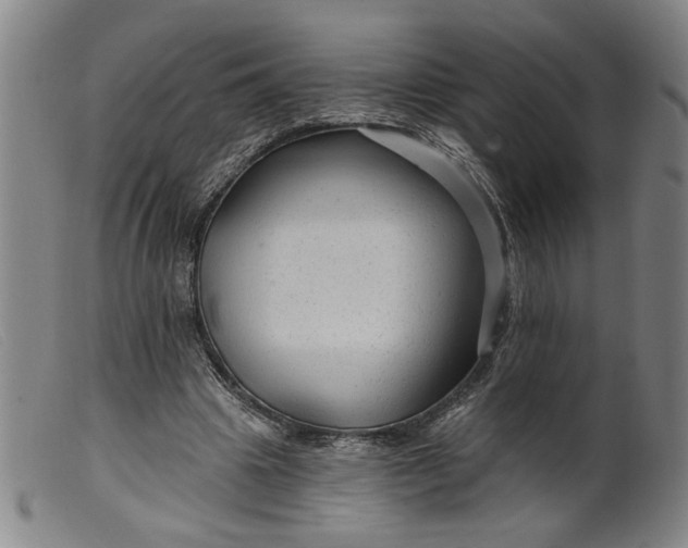 X0000099420441200805231632