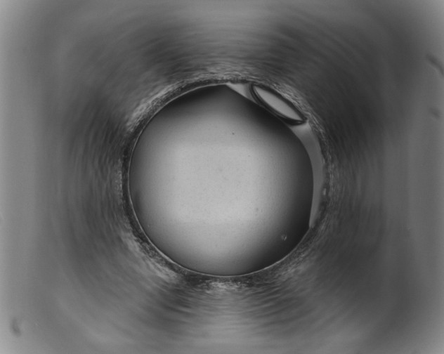 X0000099420442200805231633