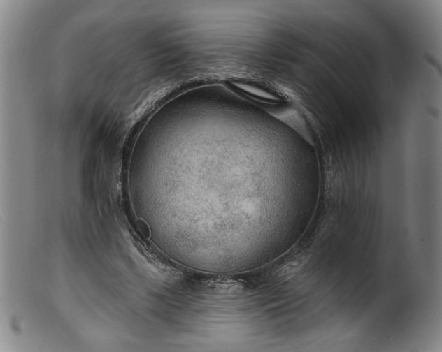 X0000099420443200805231633