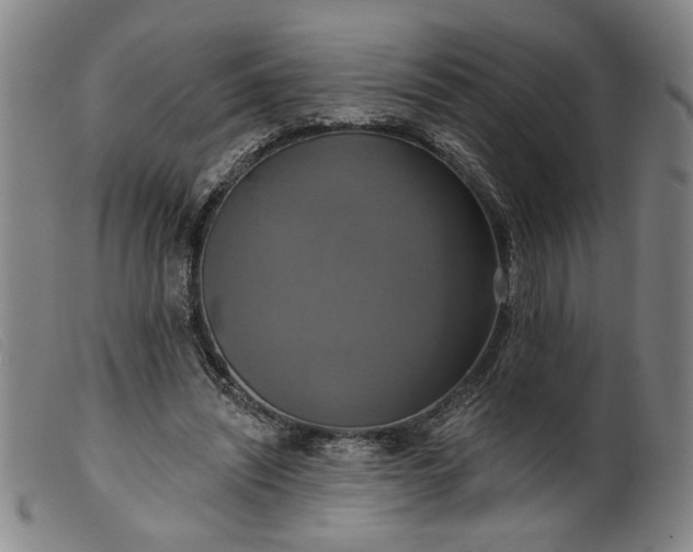 X0000099420444200805231633