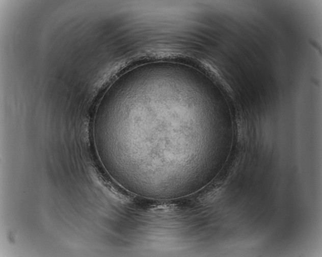 X0000099420447200805231633