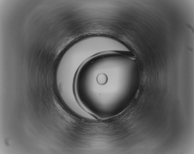X0000099420448200805231633