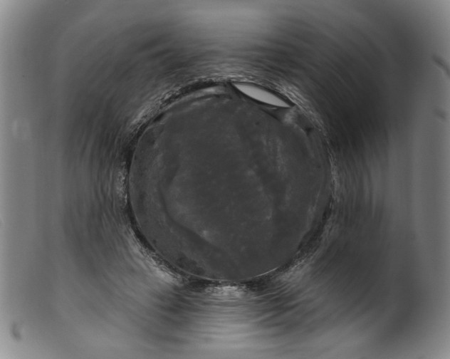 X0000099420449200805231633