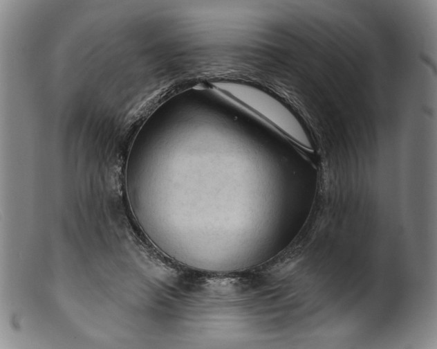 X0000099420450200805231633
