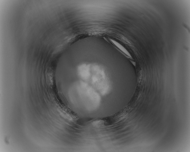 X0000099420452200805231633