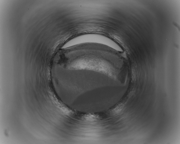 X0000099420453200805231633