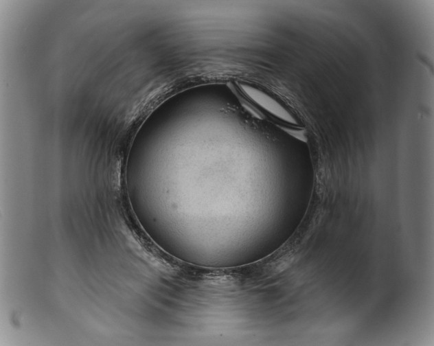 X0000099420454200805231633