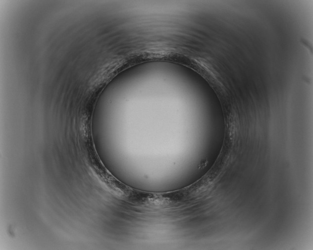X0000099420455200805231633
